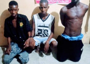 Police arrest 3 for thuggery, illegal arms possession in Niger