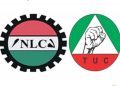 We have 100% compliance in NLC strike in Niger state -TUC