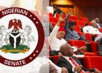 Senate Intervenes in Police Force, Service Commission Controversy