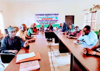 Youth groups in Niger State dissasociate self from planned nation wide protest against Tinubu