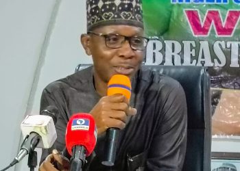 Niger Govt. pledges friendly environment for breastfeeding mothers