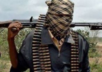 Bandits Wreck Havoc on Shiroro Villages, Kill 13persons in a Fresh Attack