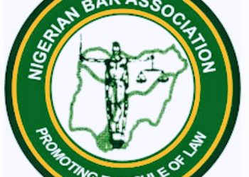 Niger NBA condemns violent protest, alleged killing of protesters in Suleja