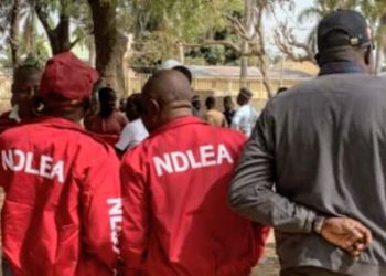 NDLEA Officers Reject N10m Bribe From Suspected Drug Dealers
