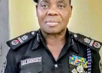 IGP Egbetokun Appoints Hamzat as New AIG for Zone 16 Command