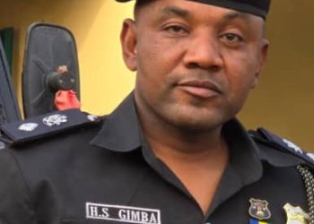 CSP Hassan Gimba: A Beacon of Courage Against Crime