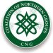 Niger State Tanker Explosion: Coalition of northern groups demand immediate action