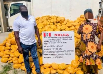 NDLEA Arrests Prominent Nollywood Filmmaker and Another Drug Kingpin in New Year Raids.