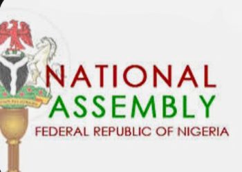 No Plenary for Two Weeks – National Assembly