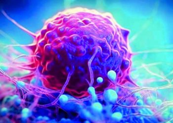 New Coronavirus: FG Addresses Nigeria’s Risk