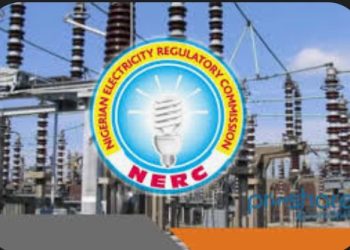 NERC Transfers Regulatory Oversight of Electricity Market to Niger State