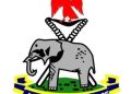 IGP Bans Policemen in Mufti from Carrying Rifles.