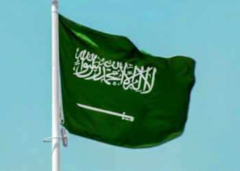 Saudi Arabia Restricts Multiple-Entry Visas for Nigeria and 13 Other Countries