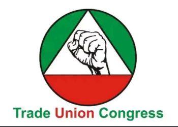 Urgent Call for Resolution on February 2025 Salary Delays.