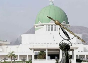 60-Year Age Limit Bill for Presidential and Governorship Candidates Passes Second Reading