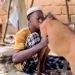 Kano Hisbah Arrests Man Licking Goat’s Genital In Viral Video