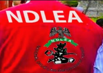 NDLEA Seizes AK-47, Substantial Drug Haul in Coordinated Operations Across Nigeria