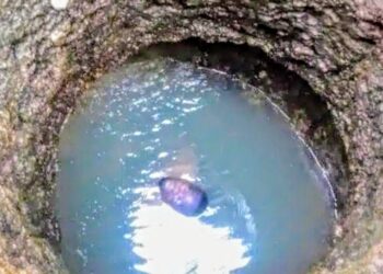 Man Jumps Into Well After Taking ‘Colorado’ on Eid Day.