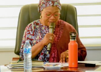 Niger State Ward Project Steering Committee Initiates Implementation of Ward Projects. 