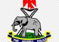 Driver Arrested for Transporting N1 Million in Counterfeit Currency in Oyo