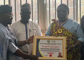 Niger Food’s Chairman Receives Award of Excellence. 