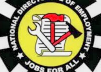 NYCN Niger Urges Transparency in NDE Empowerment Program Amid Reports of Irregularities
