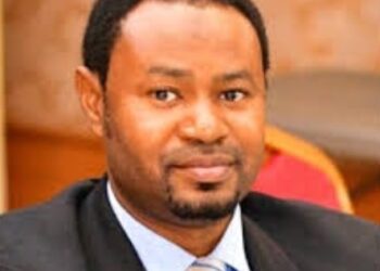 Niger State Government Transforms Healthcare System with Digital Initiatives. 