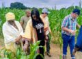 Strategic Partnership: Niger State Government, Niger Foods, and TERRAFORMA Unite to Strengthen Soil Health and Farmers’ Income