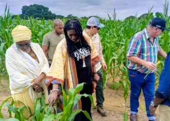 Strategic Partnership: Niger State Government, Niger Foods, and TERRAFORMA Unite to Strengthen Soil Health and Farmers’ Income