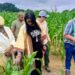 Strategic Partnership: Niger State Government, Niger Foods, and TERRAFORMA Unite to Strengthen Soil Health and Farmers’ Income