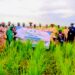 Rice farmers urged to adopt best agric practices to boost output in Niger