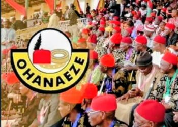 Ohaneze-Ndigbo, Niger State Chapter Abolishes Eze-ndigbo Title; Unveils New Leadership. 
