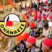 Ohaneze-Ndigbo, Niger State Chapter Abolishes Eze-ndigbo Title; Unveils New Leadership.