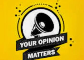 CONTRACTORS, GOVERNMENT AGENTS AND THE STABILITY OF NIGERIA