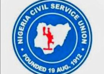 Comrade Sidi Umar Aliyu Elected Chairman of the Nigerian Civil Service Union, Niger State Council