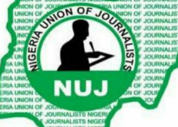NUJ Urges Merit-Based Appointments for Information Officers in Niger State