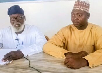 Independent Election Observers Praise Niger State for Successful 2025 Local Government Elections