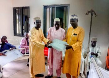 Distribution of ITNs begins in five Niger LGAs