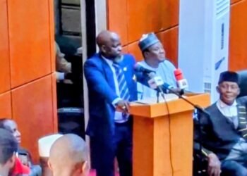 Niger Assembly Confirms Commissioner Nominee After Suspension of Screening