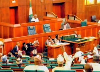 Nigeria Inches Toward Landmark Constitutional Reforms, Say Lawmakers