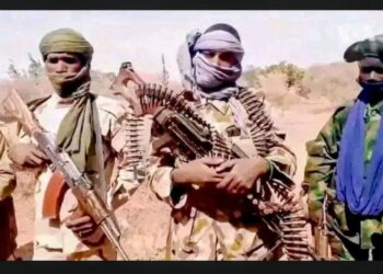 Kebbi: Three Immigration Officers Killed in Terrorist Attack