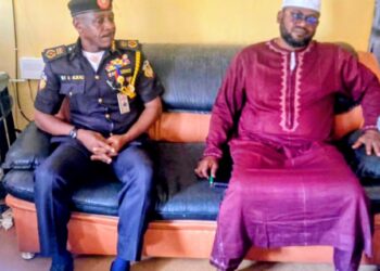 Advancing the Niger State Development Agenda: SDGs Budget Defense and Stakeholder Engagement