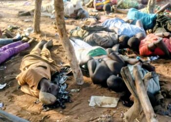 BREAKING: Terrorist Attacks in Agwarra and Borgu Result in 42 Fatalities and Multiple Abductions