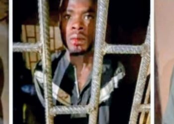 Police Arrest Suspects Behind Brutal Kano Family Killings, Says Nephew Led Group