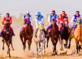 Tinubu’s ‘Renewed Hope Horse’ wins Hadejia International Horse Racing 