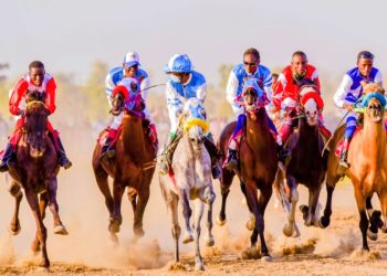 Tinubu’s ‘Renewed Hope Horse’ wins Hadejia International Horse Racing 
