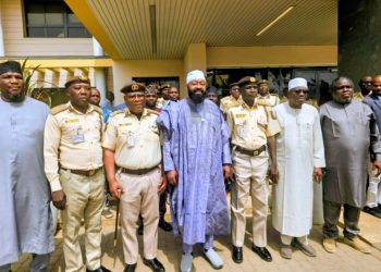 Nigeria Immigration Service Praised for Exemplary Professionalism 