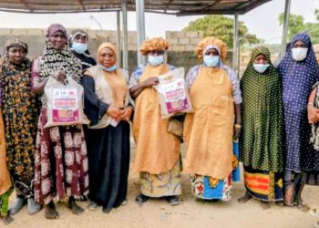 IFAD-VCDP ASAP grant boosts food security and climate resilience in Niger
