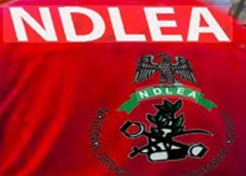 NDLEA Busts Woman with 3,200 Tramadol Capsules at Seme Border