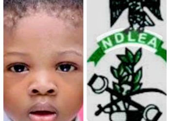 Senate Expresses Discontent Over NDLEA’s Delay in Compensation for Victim’s Family
